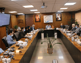 Strategic planning of Almas Mahshahr petrochemical construction