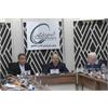 بازدید مدیرعامل هلدینگ خلیج فارس از مگا پروژه پتروشیمی الماس